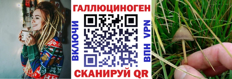 Псилоцибиновые грибы Magic Shrooms  Салават 