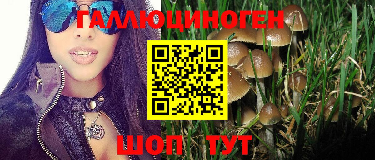 Псилоцибиновые грибы Cubensis Салават